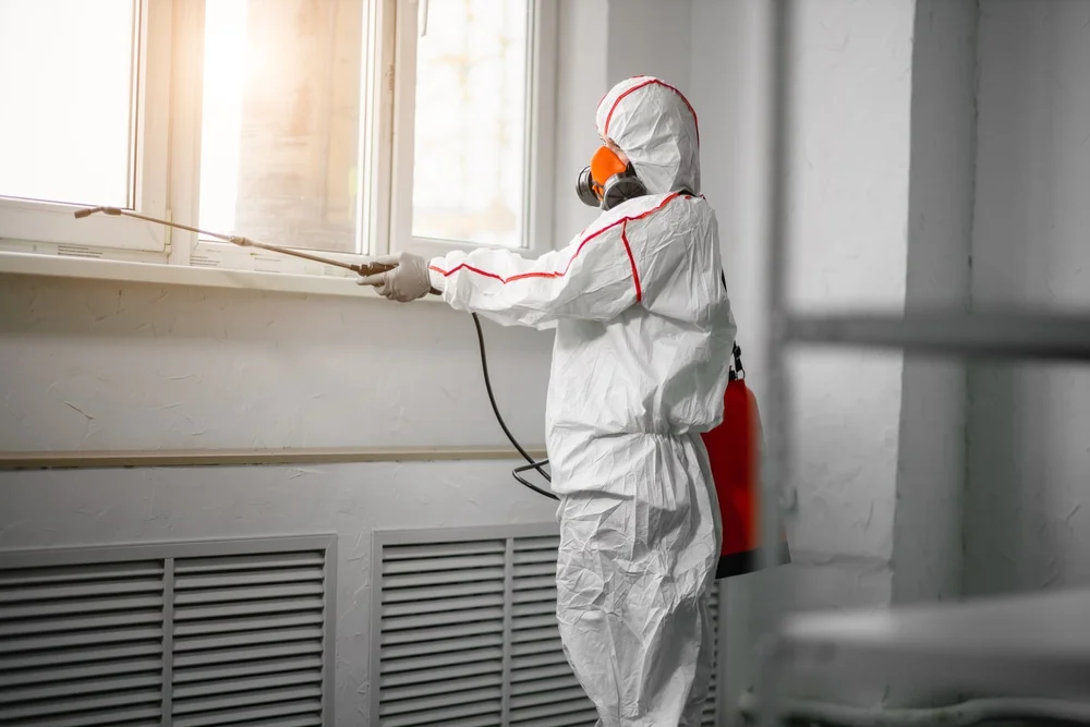 Professional mold remediation services in Whitewater, CO